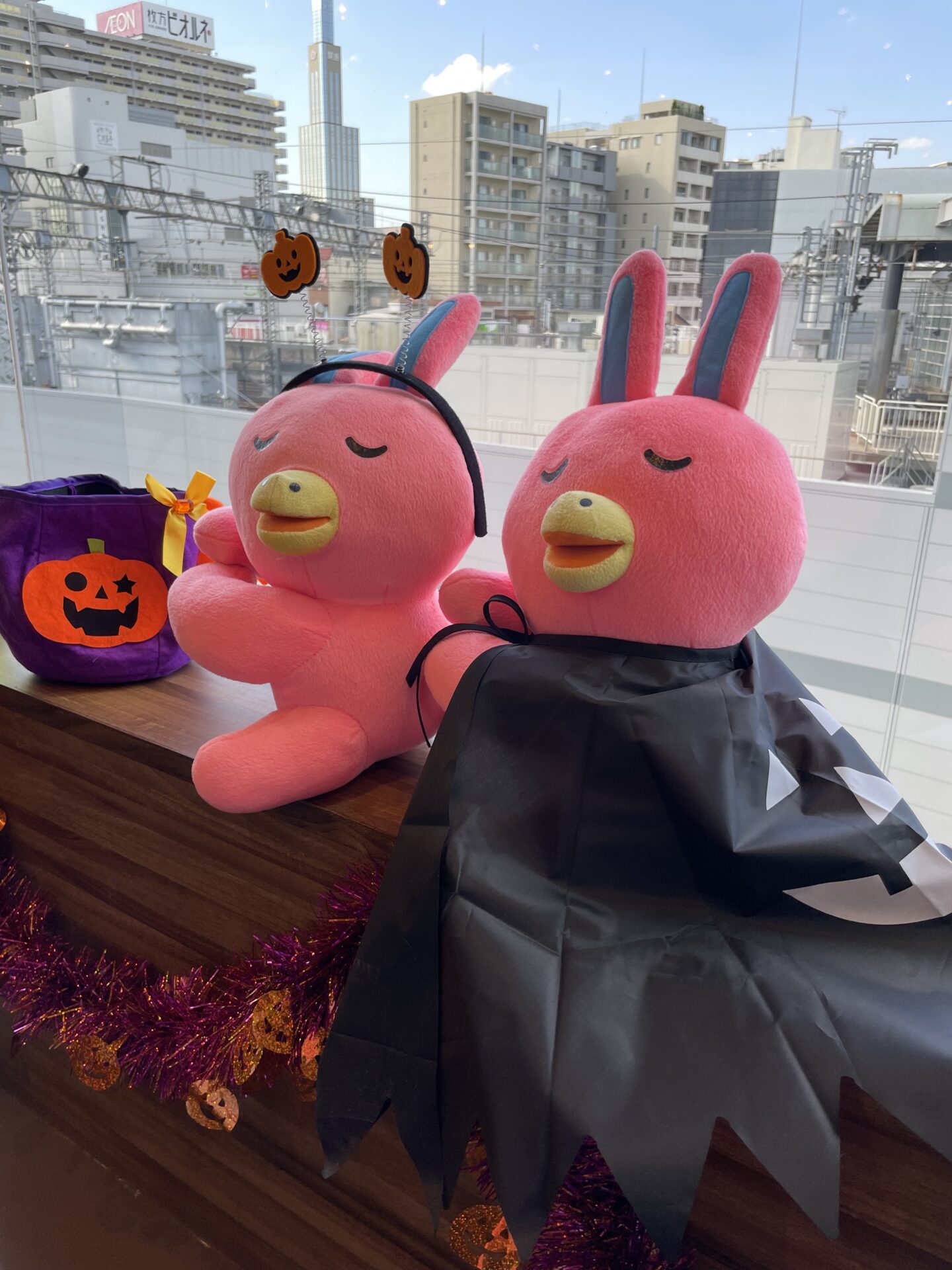 【NOVA枚方校】HappyHalloween🎃👻