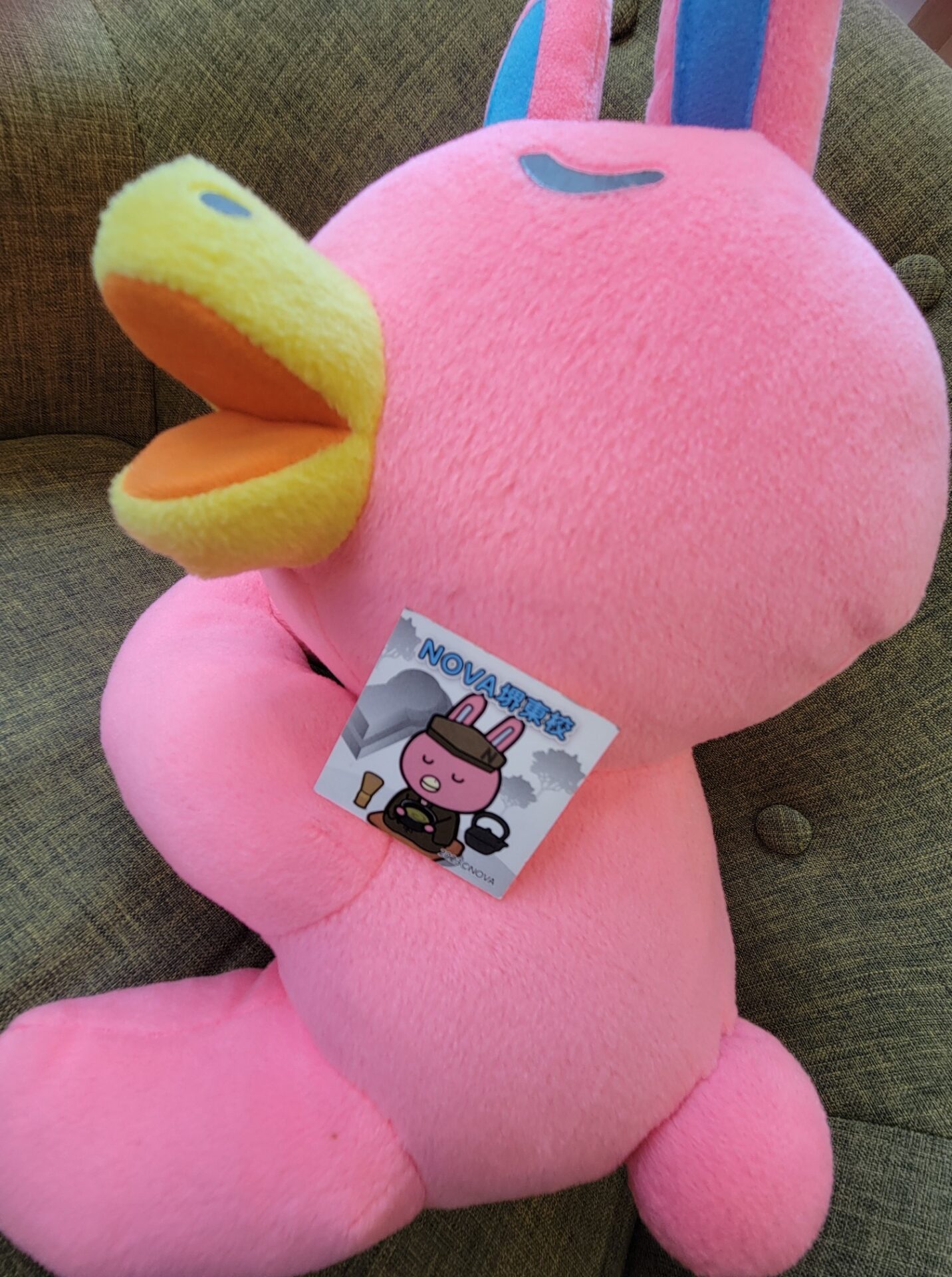 【NOVA堺東校】🐰堺東校で受講したらもらえる✨堺東校オリジナルステッカー✨