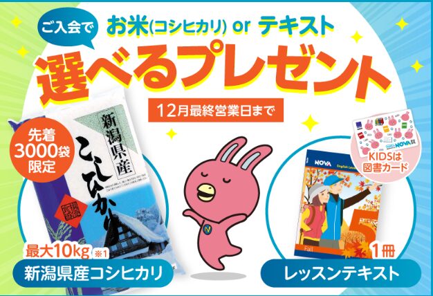 【泉大津/英会話/習い事】選べるプレゼント！11月スタート受講生募集中！
