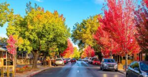 【NOVA大宮西口校】オーストラリアの秋って日本とどう違うの🐨❓