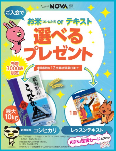 11月ご入会キャンペーン🎈【高松瓦町FLAG校】