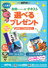 【NOVA新田辺校】講師より🌞 夏に迎えるオーストラリアのクリスマス♪のご紹介です!(^^)!