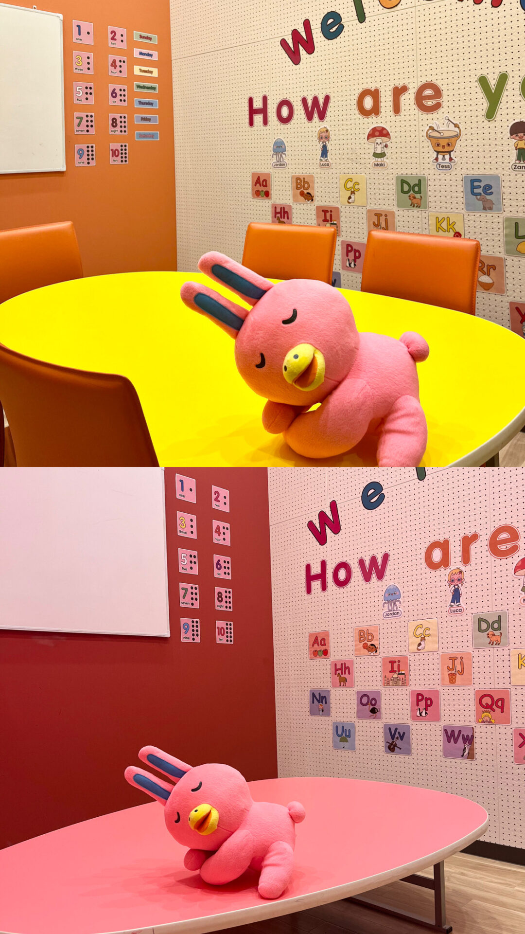 【英会話 石巻】校舎内をNOVAうさぎとご案内♪お得なｷｬﾝﾍﾟｰﾝ情報も😆💗