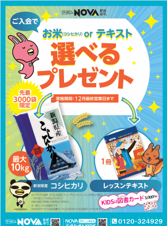 【NOVA二俣川校】🍁11月12月ご入会キャンペーン🍁