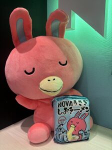 【NOVA大宮東口校】今年最後のご入会キャンペーン✨