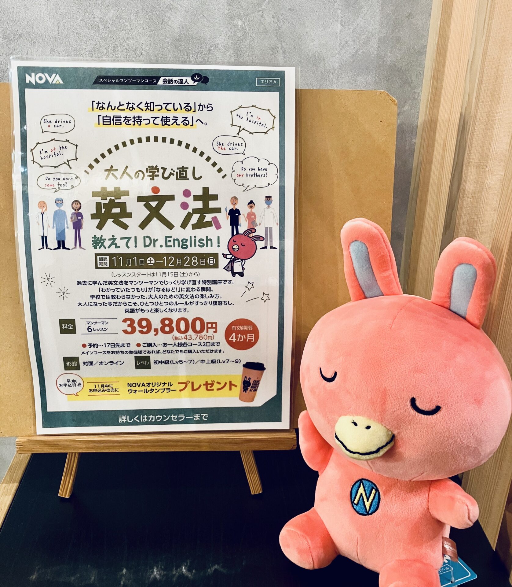 教えてDr.English! 学びなおし英文法