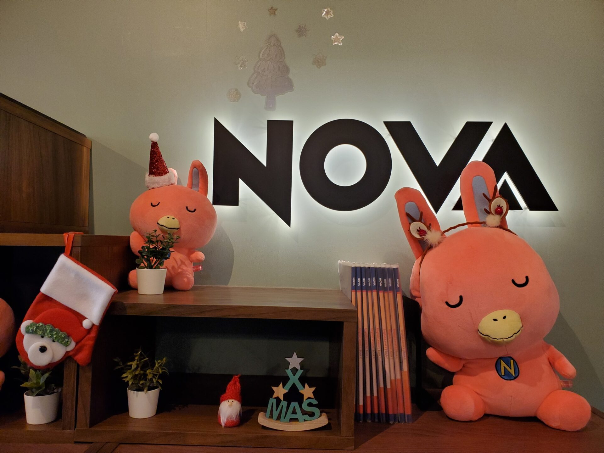 【大人も子どもも！】冬の特別コース⛄