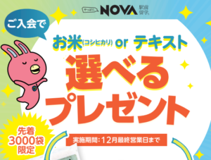 【英会話NOVA岐阜駅前校】11月入会キャンペーンのご案内🌾