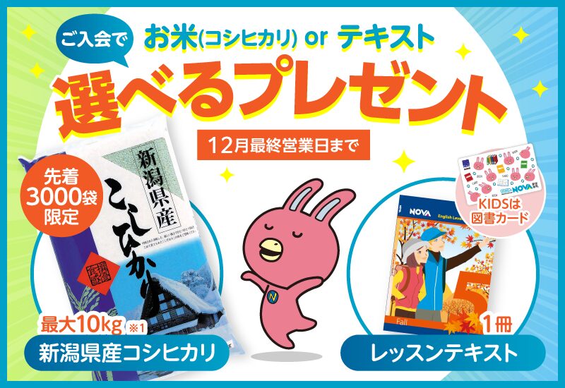 【NOVA半田校】✨🎅11月から年末までの開催キャンペーン🎅✨